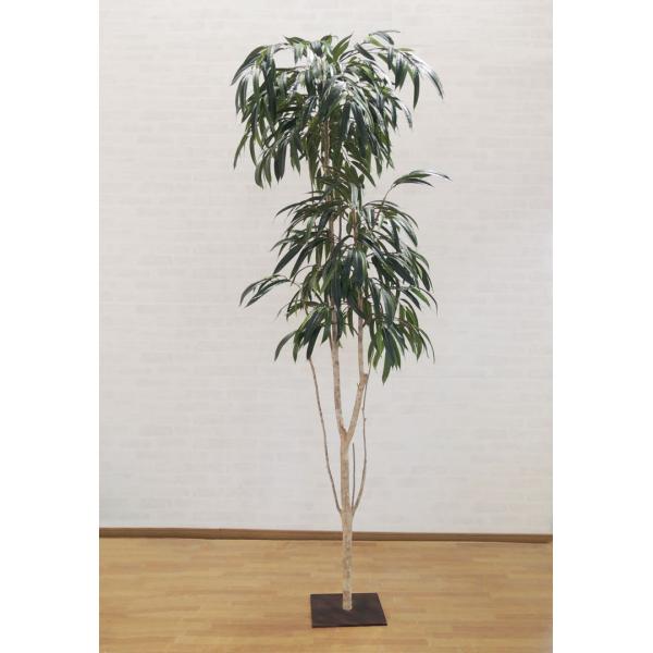 VEiS 240cm (AXe_LO  CeA lHϗtA 2.4m   ^ tFCN O[ fBXvC )