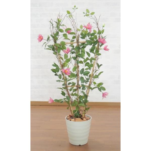 N}`XoC (lHϗtA  tFCN t[ CeA  Xܑ 90cm   fBXvC)