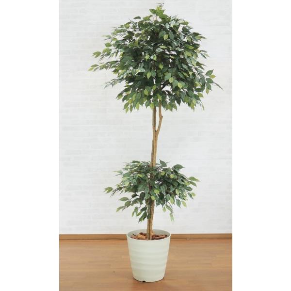 _utBJXc[  210cm(tFCNO[ Ԏ lHϗtA ^  CeA  2.1m)