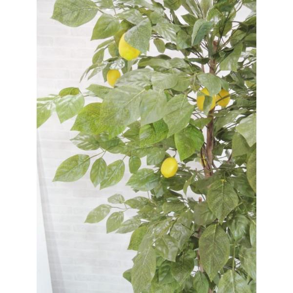 レモンの木 実付き 180cm 鉢植え 造花 観葉植物 インテリア グリーン 室内 おしゃれ 大型 装飾 植栽 置物1 8m Buyee Buyee บร การต วกลางจากญ ป น ซ อจากประเทศญ ป น