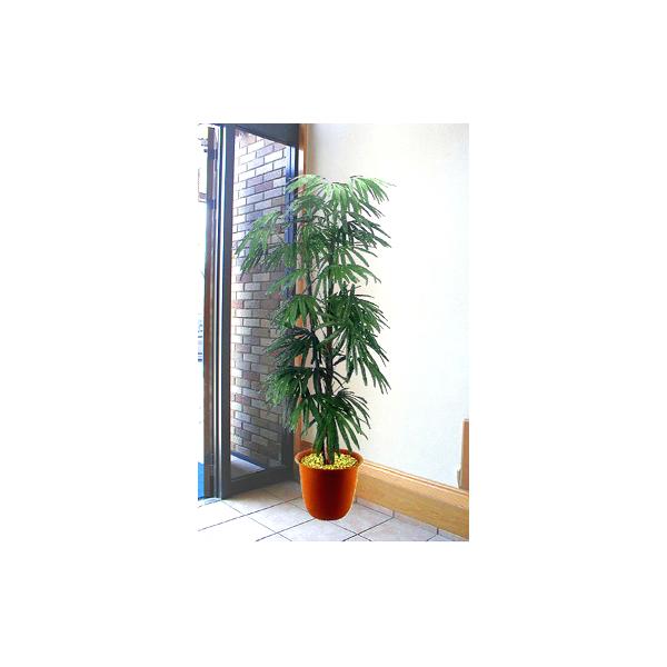 V| 180cm (lHϗtA CeA  1.8m@  R[fBl[g)