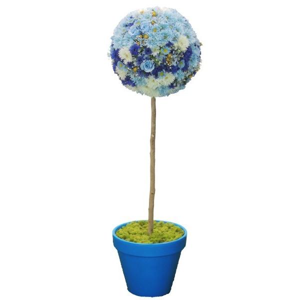 t[gsA[ 150cm Cgu[( lH ϗtA IuWF CeA ~`   u )