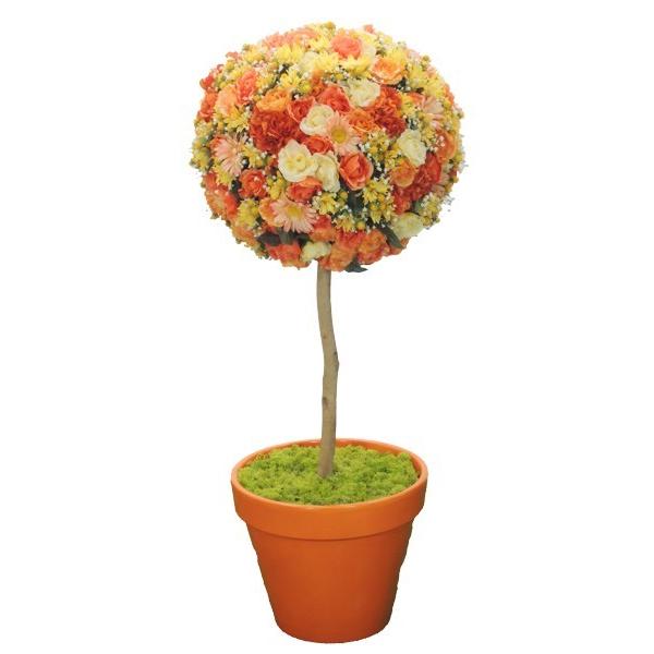 t[gsA[ 120cm IW ( lH ϗtA IuWF CeA ~`  A u A)