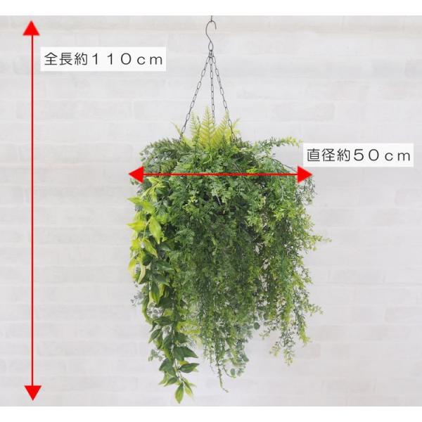 nMO O[ B a50cm ( tFCN ݂艺 ݂邷 CeA   fBXvCj