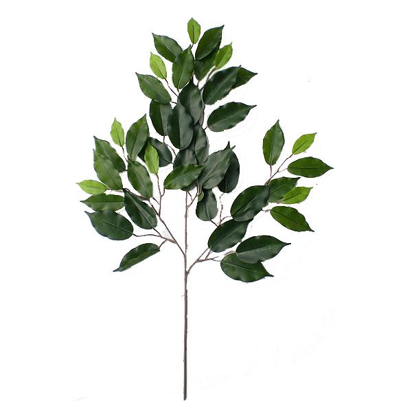 xW~@[t@24{Zbg( CeAt  lH ϗtA)