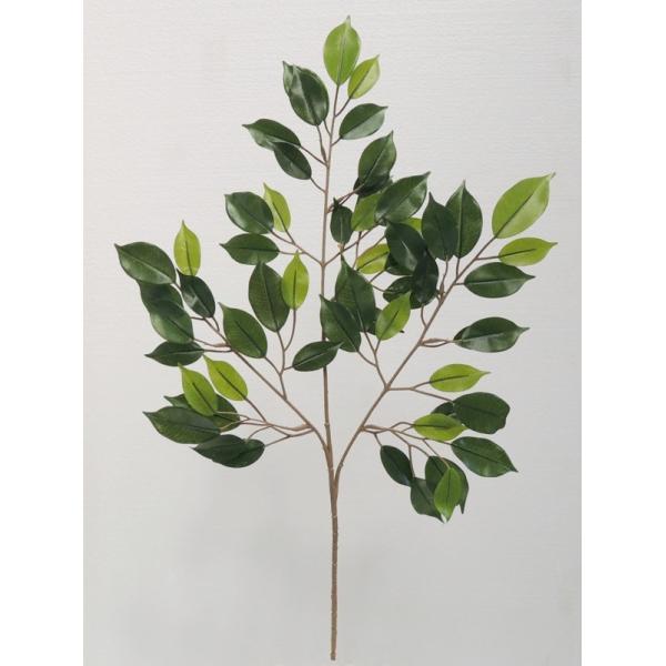 tBJXxW~ i^[V [t 12{Zbg ( CeAt  lH ϗtA)