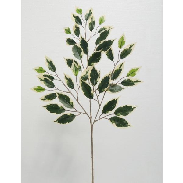 nCAtBJX [t 12{Zbg ( CeAt  lH ϗtA)