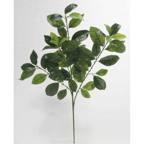 @[t@6{Zbg( CeAt  lH ϗtA)