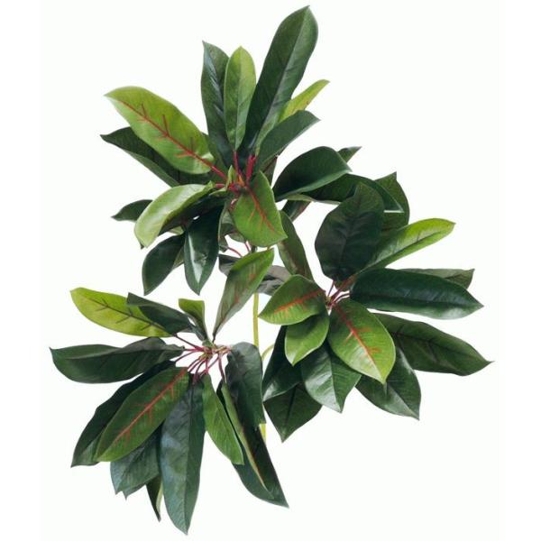 Yn [t 2{ ( CeA t  lH ϗtA)