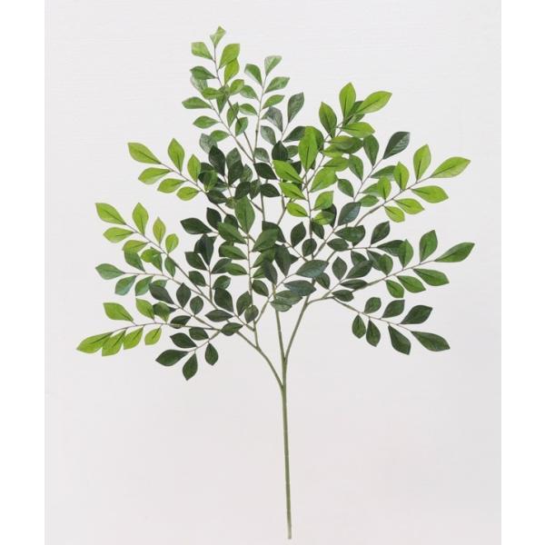 V}glR [t 12{Zbg ( CeA t  lH ϗtA)