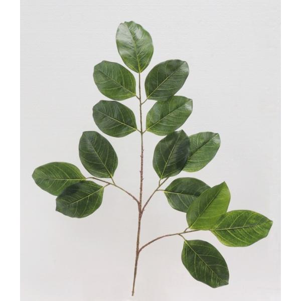 {_CW [t 6{ (xKVX  CeA    lHϗtA)