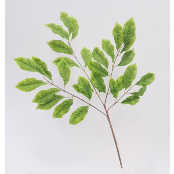 `F[ [t 3{ ( CeA  t   lHϗtA )