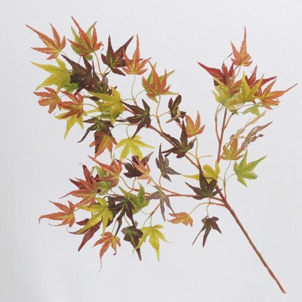 ~W I[^ [t 6{ ( CeA t  lH ϗtA)