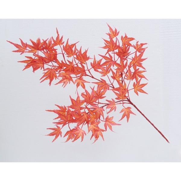 ~W bh [t 6{( CeA gt  lH ϗtA ݂)