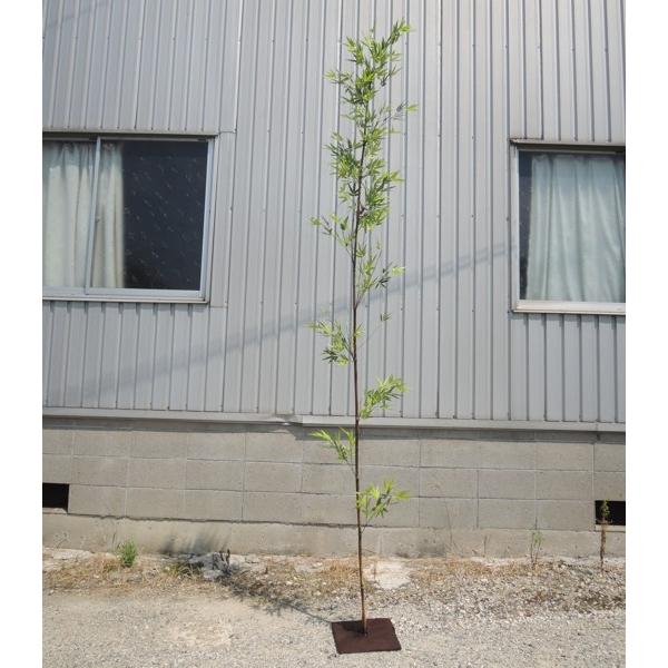 黒竹 竹　バンブー　観葉植物　高さ約210cm 手渡し希望！ 人工竹 黒竹 バンブーツリー 300cm (造花 インテリア 観葉植物