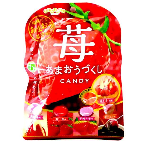 扇雀飴本舗 色々な苺味が楽しめる 5種類の苺のアソートキャンデー 苺タルト味 濃い苺味 練乳苺味 早摘み苺味 苺チョコ味 福岡県産あまおう果汁使用 1 あめちゃん 飴の専門卸店 通販 Yahoo ショッピング