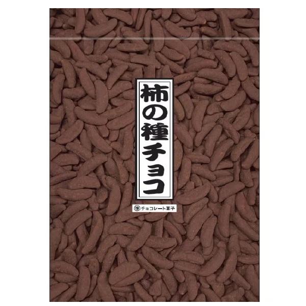 寺沢製菓 柿の種チョコ 240g×1袋 夏季クール便配送（別途330円