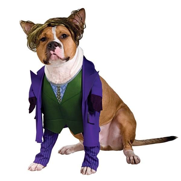 バットマン ダークナイト ジョーカー ドッグ衣装 コスチューム Batdog2 アメリカンコスチュームyahoo 店 通販 Yahoo ショッピング