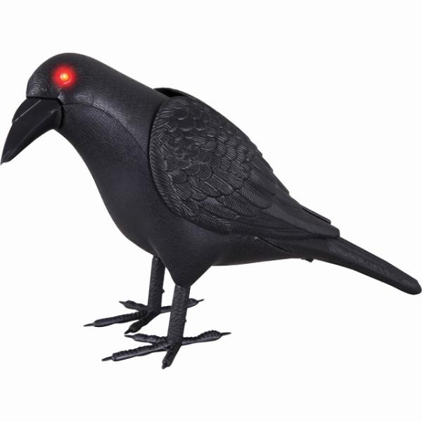 鳥 動く みんな探してる人気モノ 鳥 動く おもちゃ
