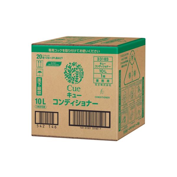 ԉ L[ RfBVi[ 10L Ɩp