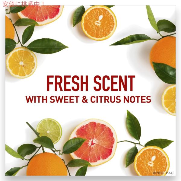 americankitchen_100005612akc_2_d_20241118111742