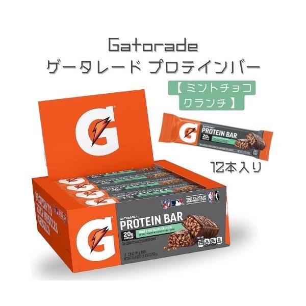 ホエイ・チョコレートミント エクスプロージョン WPC 3kg ミント味 100%ホエイプロテイン 大
