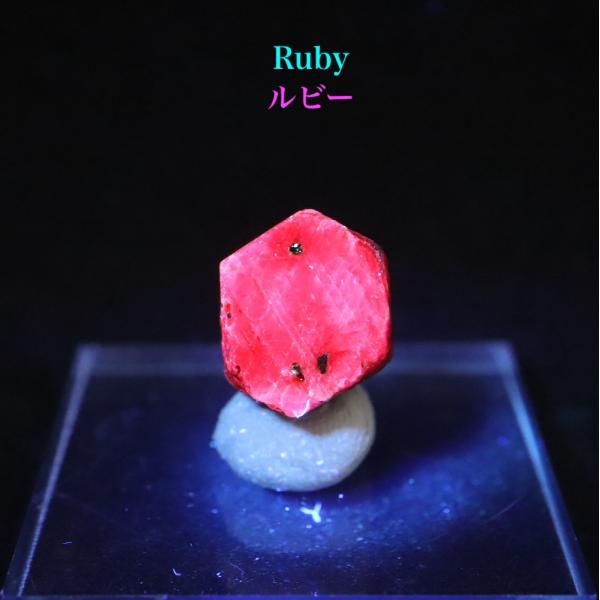 ルビー 原石 パキスタン産 結晶 2.5g RBY011 鉱物 天然石 : AMERICAN