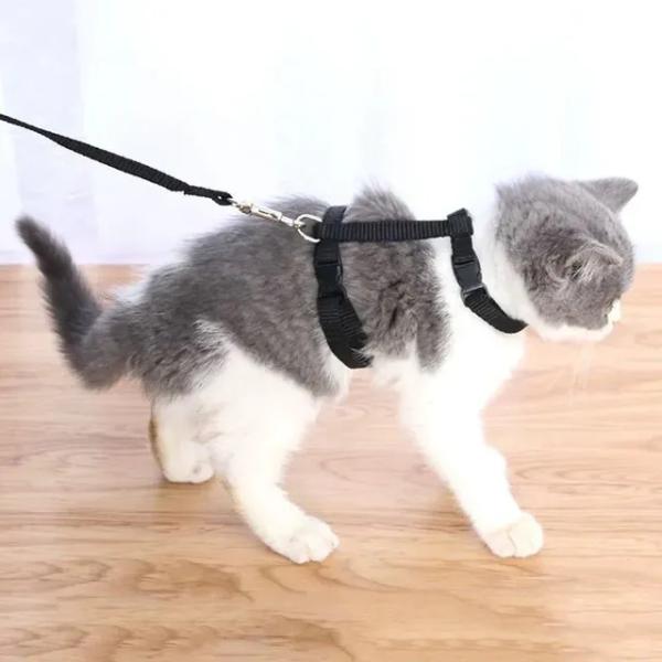 軽量調節可能な猫ハーネスとリードセット脱走防止子猫ストラップ首輪ウォーキング旅行小動物子犬ハーネス