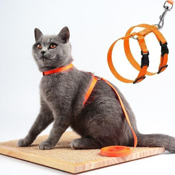 猫ハーネス リードと首輪セット付き エスケーププルーフ 調節可能 H型猫ハーネス 軽量 子犬 キティ 屋外ウォーキング用
