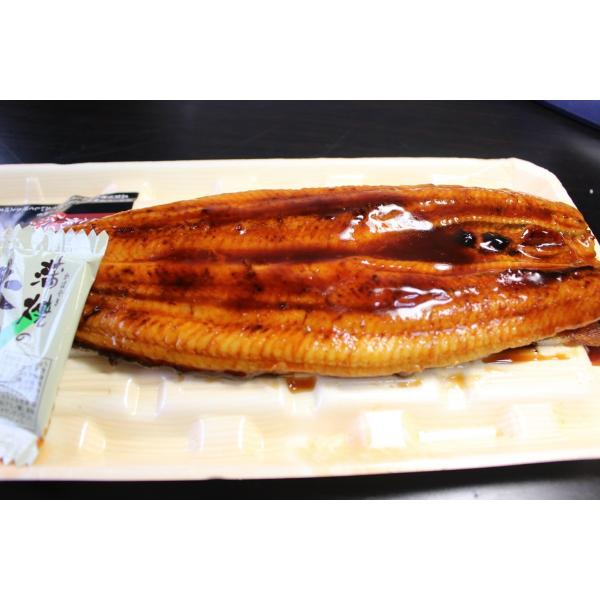 　いつまで食べられるかわからないようになってしまいました。上野、湯島は土用丑の日発案者の平賀源内のゆかりの地でもあり,上野の山の西郷さんの大好物も鰻の蒲焼であったと言われ、谷中墓地に眠る渋沢栄一翁も好物でありました。脂ののりは中国産のほうが...