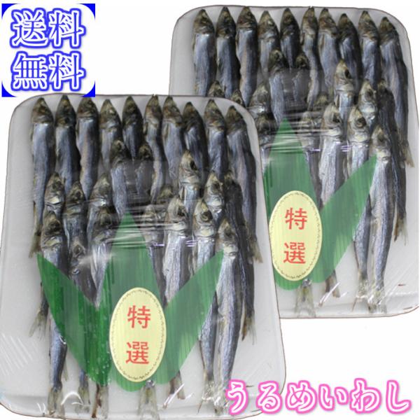 satomi様 丸干し2袋、平干し1袋、訳丸干し2袋②訳丸干5袋、せっこう2箱 satomi様 丸干し2袋、平干し1袋、訳丸干し2袋②