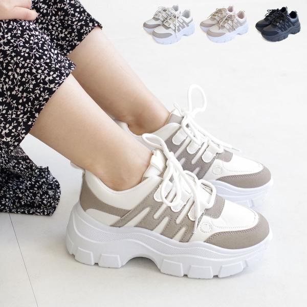 _bhXj[J[ F Xj[J[ fB[X JWA X|[c