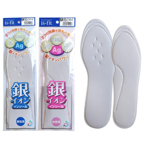 is-fit CIC\[ ~ p jp t[TCY ʋCDi