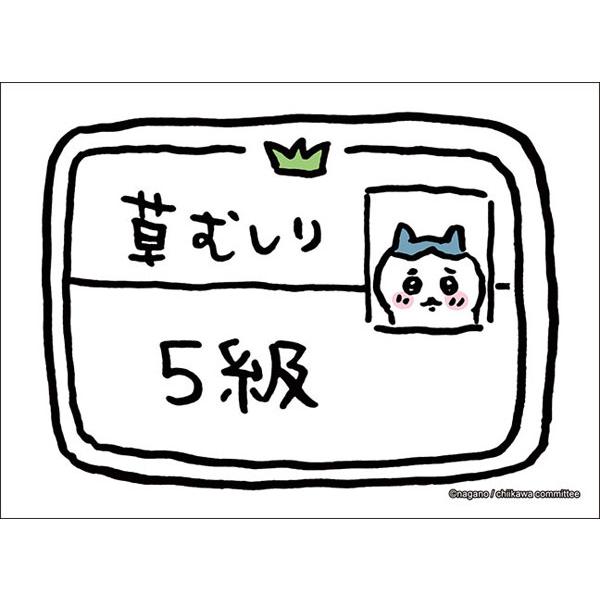 ブシロード スリーブコレクション ハイグレード Vol.3709 ちいかわ