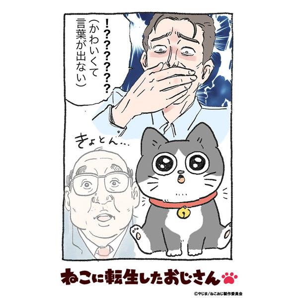 ブシロードその他 D ブシロード トレーディングカード コレクションクリア ねこに