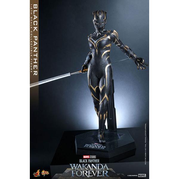 ワカンダブラックパンサー王座樹脂モデル樹脂 ワカンダブラックパンサー王座樹脂モデル - メルカリ