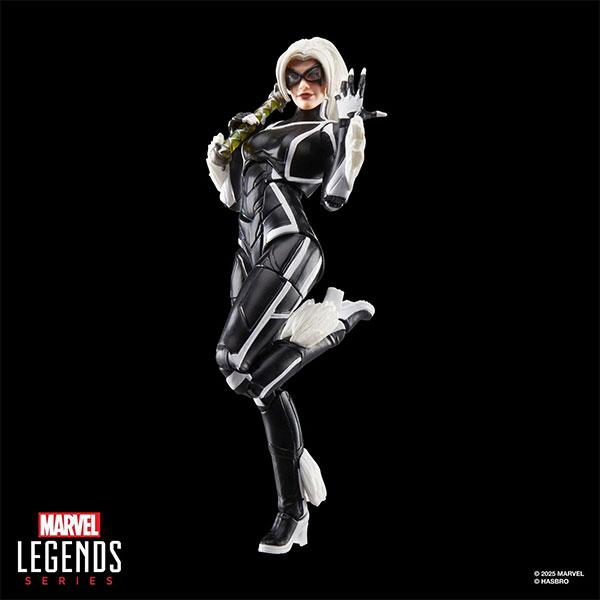 【未開封品】マーベルレジェンド ブラックキャット スカイラインシリーズ 2025年最新】マーベルレジェンド ブラックキャットの人気