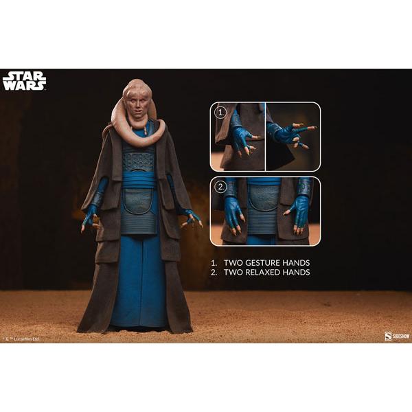 スター・ウォーズ』1/6スケールフィギュア スカム＆ヴィラニー