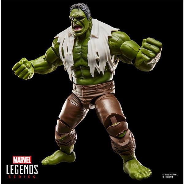 マーベルレジェンド・シリーズ スパイダーマン：ブラン・ニュー・デイ ハルク[ハズブロジャパン]《発売済・在庫品》