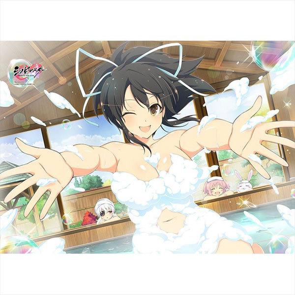 シノビマスター 閃乱カグラ NEW LINK B2タペストリー(飛鳥/シノビ温泉 