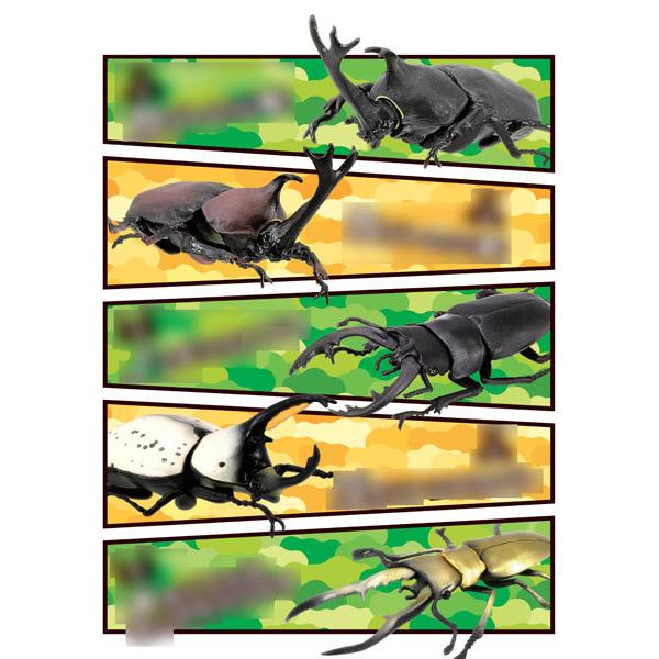 昆虫ハンター カブトムシ クワガタ 10個入りbox 食玩 エフトイズ 在庫切れ Goods あみあみ Yahoo 店 通販 Yahoo ショッピング