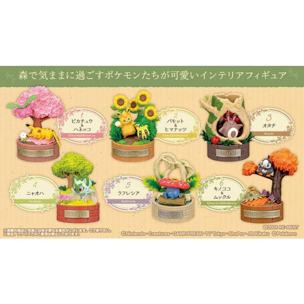 リーメント ポケットモンスター 森の小さなおはなし 6個入りBOX