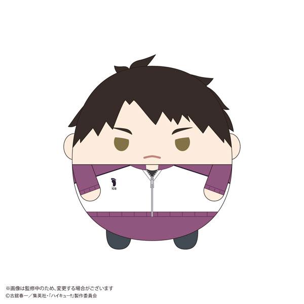 ハイキュー　牛島若利　ふわコロりん　Mサイズ ハイキュー！！ ふわコロりんMsize9 H：牛島若利(ジャージver
