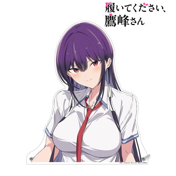 TVアニメ『履いてください、鷹峰さん』 ティザービジュアル 特大ダイカットアクリルパネル[アルマビアンカ]《在庫切れ》