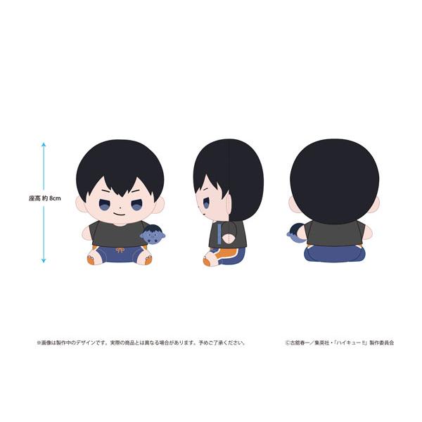 ハイキュー！！ もっちび ぬいぐるみ 影山飛雄 ビーチボールver.[東宝]《０８月予約》