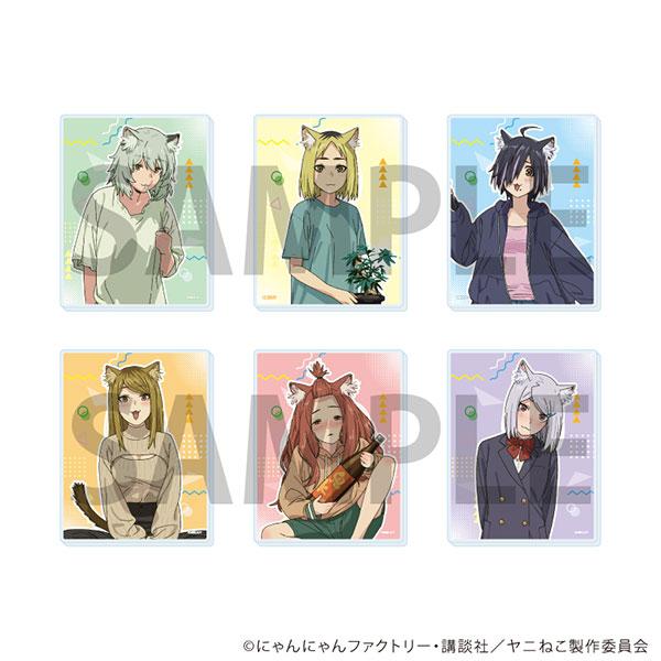 アクリルカード「TVアニメ『ヤニねこ』」01/公式イラスト 6個入りBOX[A3]《１０月予約》