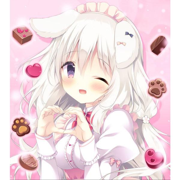 最安値級価格 Wスウェード きゃべつそふとfanbox1年間継続特典 タペストリー キャラクターグッズ