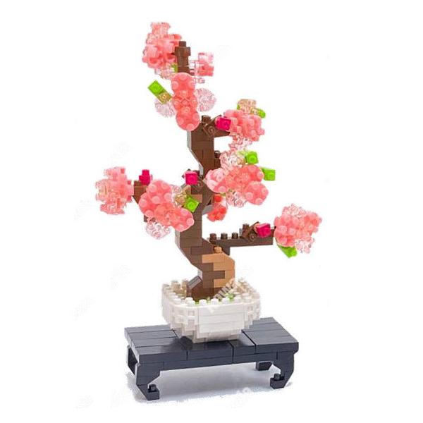 桜 盆栽 ホビーの人気商品 通販 価格比較 価格 Com