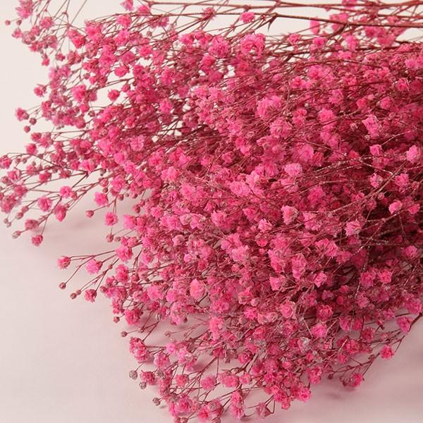カスミソウシルバーコーティング ピンク 約75g入 プリザーブドフラワー フラワーアレンジメント 花材 花資材 ナチュラル プリザーブドフラワー花材アミファ 通販 Yahoo ショッピング