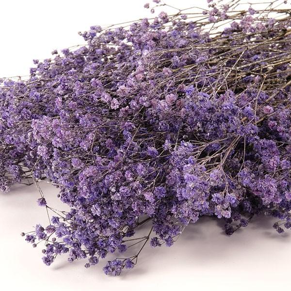 カスミソウシルバーコーティング パープル 約75g入 プリザーブドフラワー フラワーアレンジメント 花材 花資材 ナチュラル プリザーブドフラワー花材アミファ 通販 Yahoo ショッピング